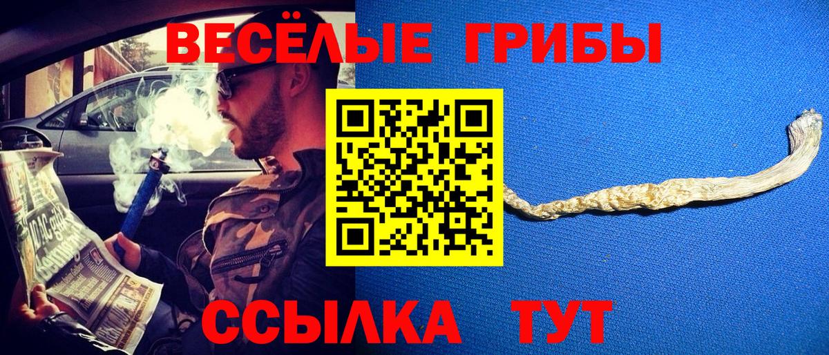 Каспийск  Псилоцибиновые грибы MAGIC MUSHROOMS  Вход с VPN 