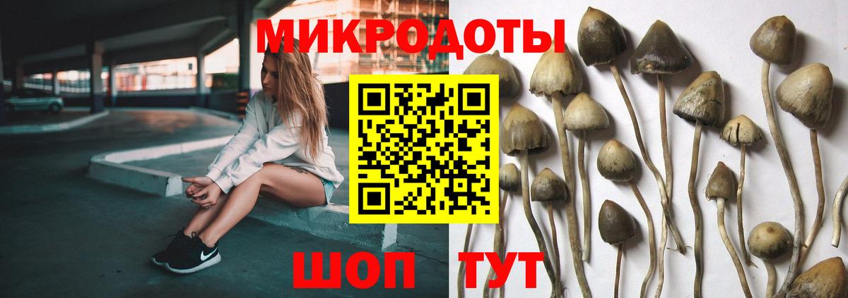 Галлюциногенные грибы Magic Shrooms Каспийск